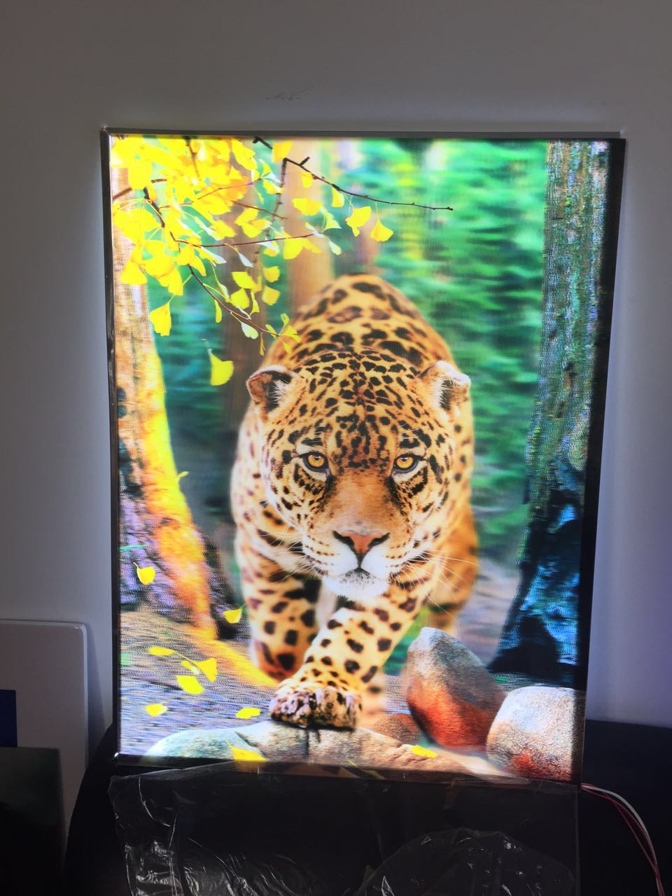 1482128139203680.jpg 老虎.jpg