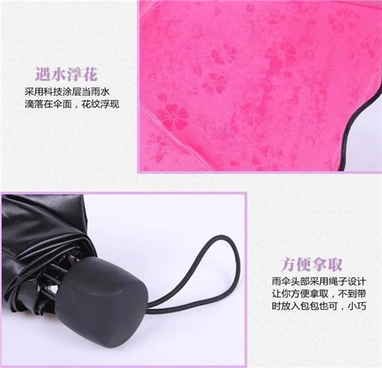 1492056702614283.jpg 10.jpg