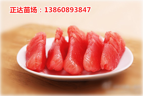 1474602392868194.jpg QQ圖片20141223142404_副本.jpg