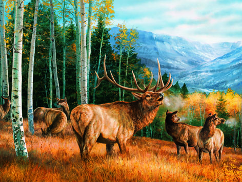 1466558754540085.jpg 21.jpg