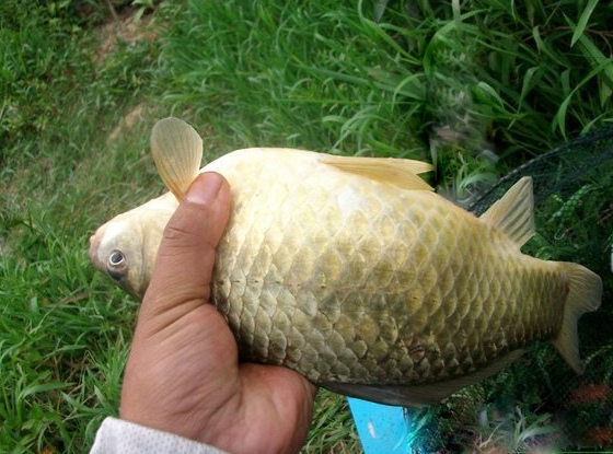 1480582849146599.jpg 1_130425201922_145763844.jpg