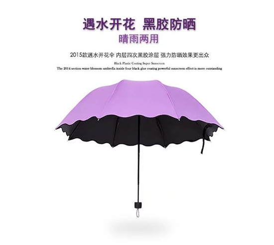 1492056744838628.jpg 21.jpg