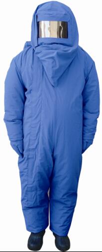 1498727031769979.jpg 低溫服帶背囊正面小.jpg