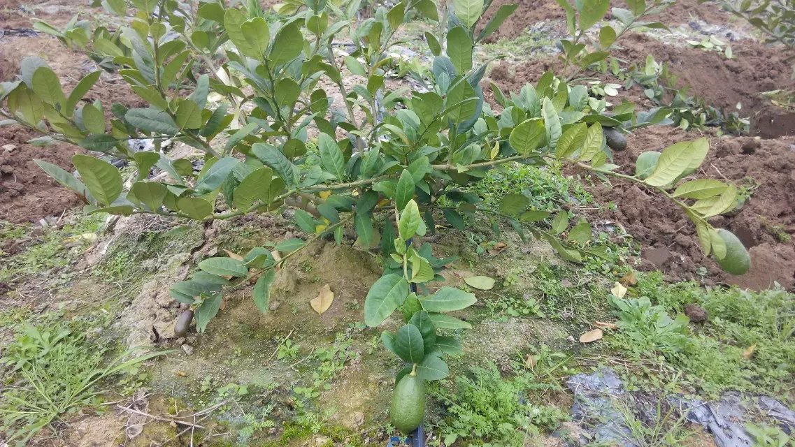 1470099636953190.jpg psb (2).jpg