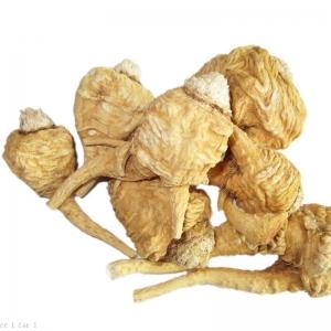 天津報關公司 天津報關公司