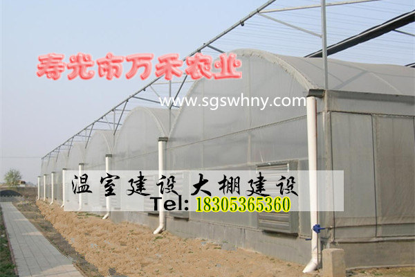 1481166710793711.jpg 圓拱型智能_副本.jpg