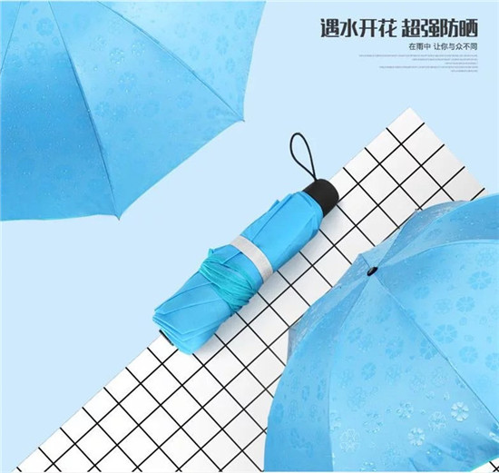 1492056667183752.jpg 3.jpg