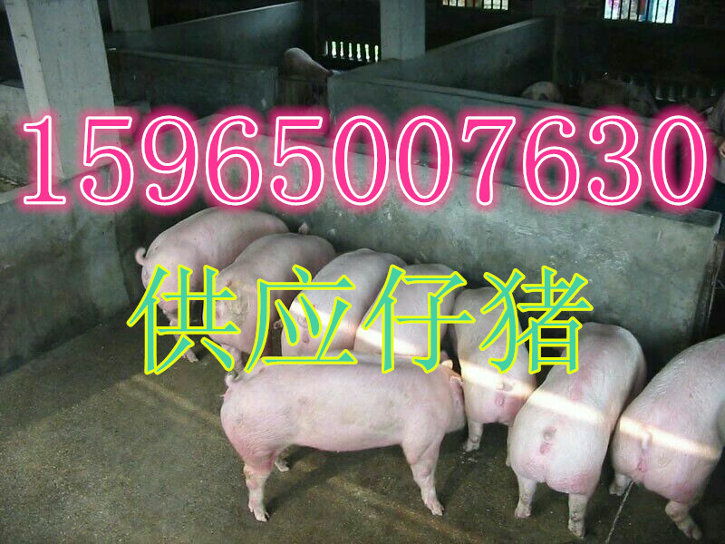 1463297289739540.jpg 1_副本.jpg