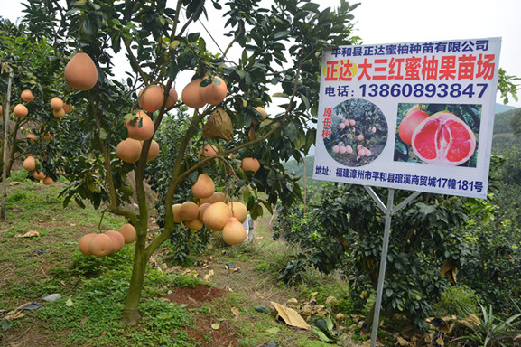 1490067790287408.jpg DSC_1968.JPG