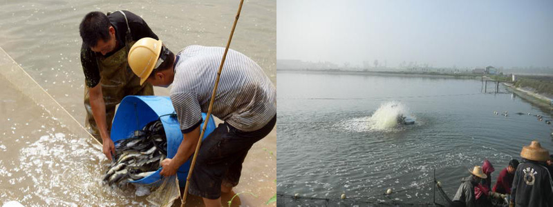 1473669947274356.jpg 1-160504114621146.jpg