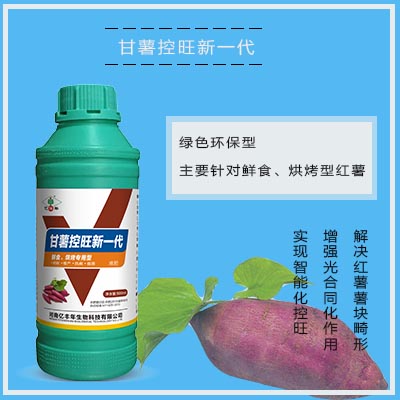 44甘薯控旺新一代功能特點 - 副本.jpg