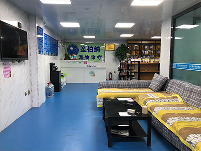 西寧圣伯納寵物醫院，寵物醫院