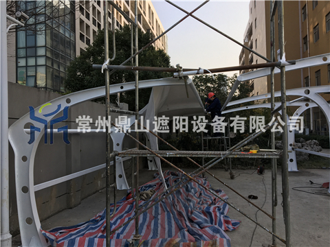 1487318875737002.jpg IMG_0607.JPG